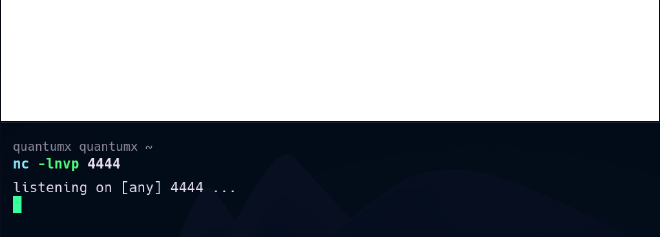 netcat listener