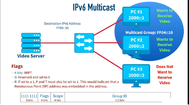 ipv6 multicast flags